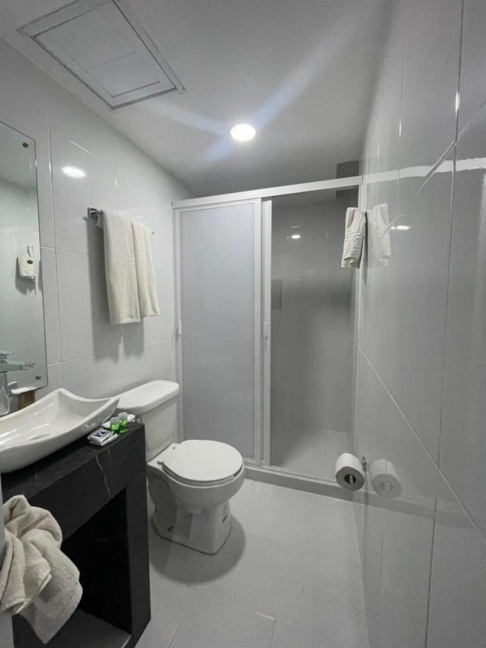 Hotel GALENO